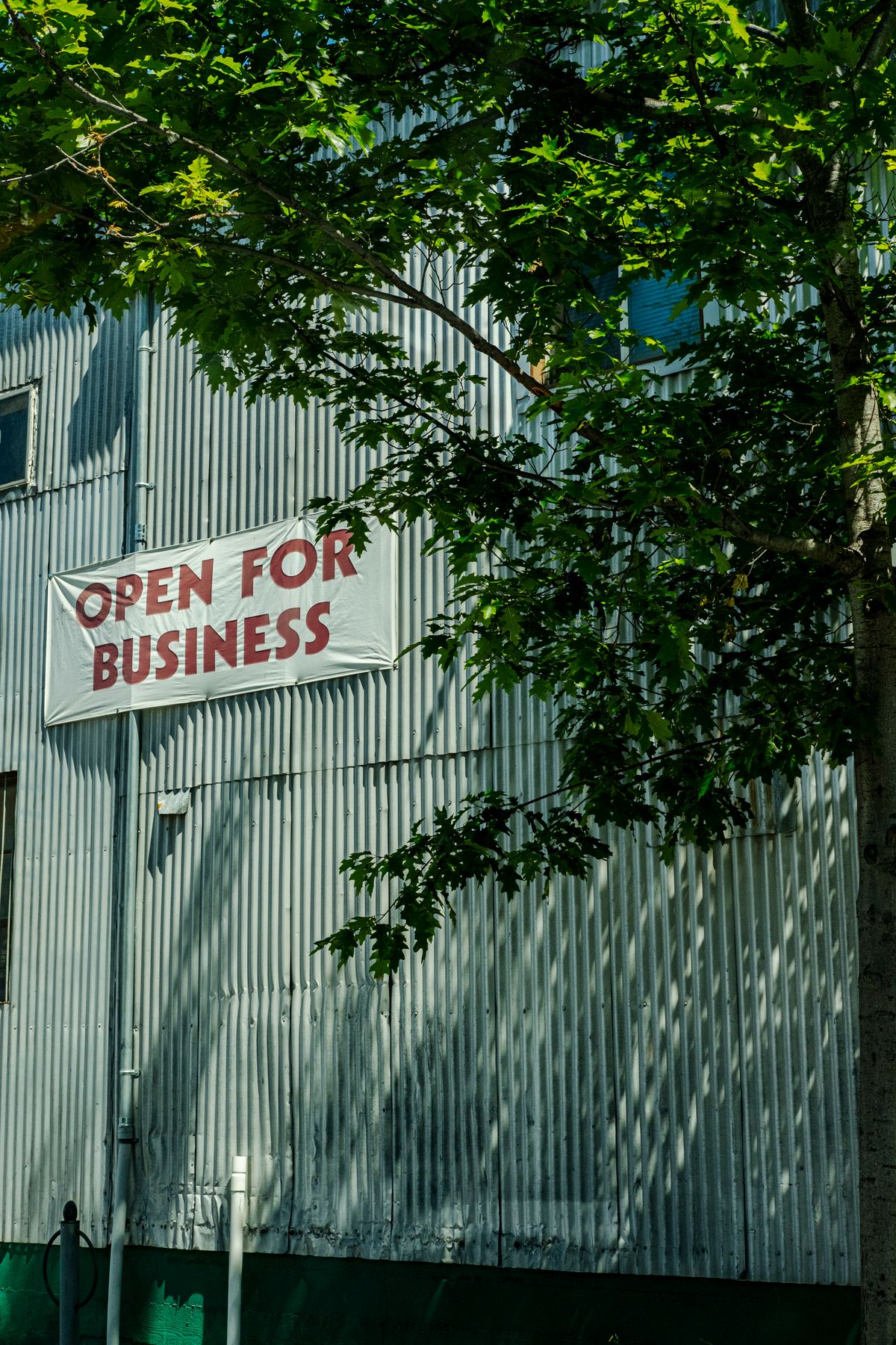 Elephant Signage & Display — Mission Viejo — cover image