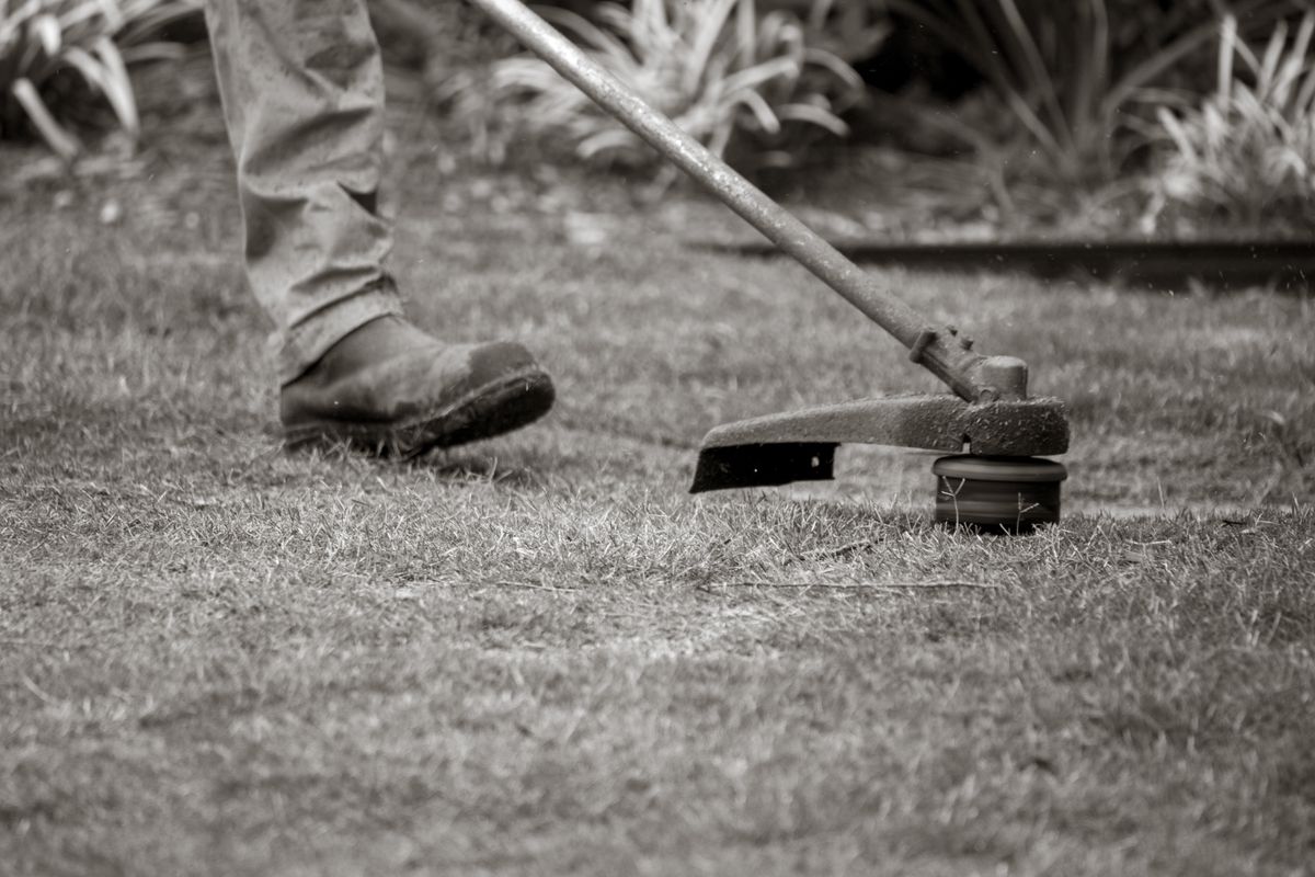 Aragon Landscaping — Costa Mesa