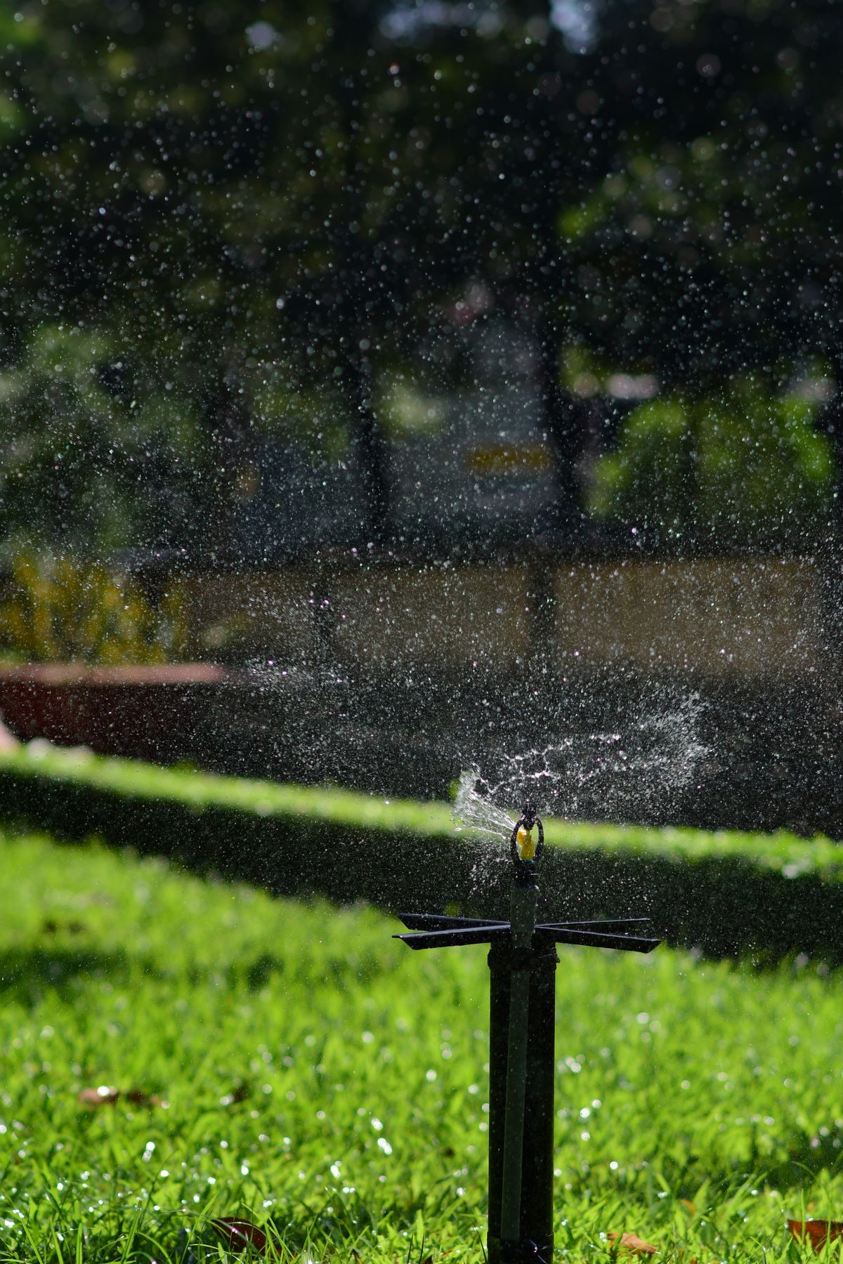 Irrigation Pros — Santa Ana — cover image