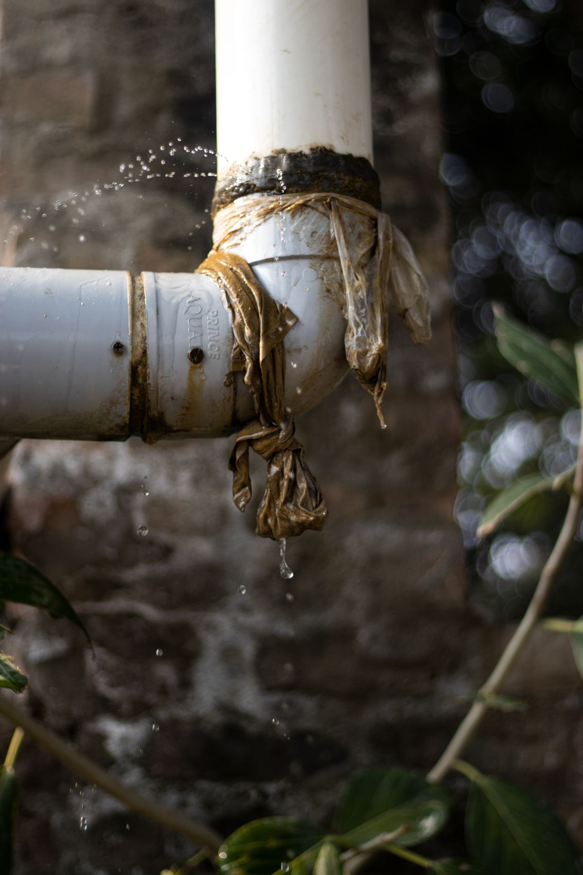 Original OCDIR directory artwork for SoCal Plumbing Co — not a business photograph