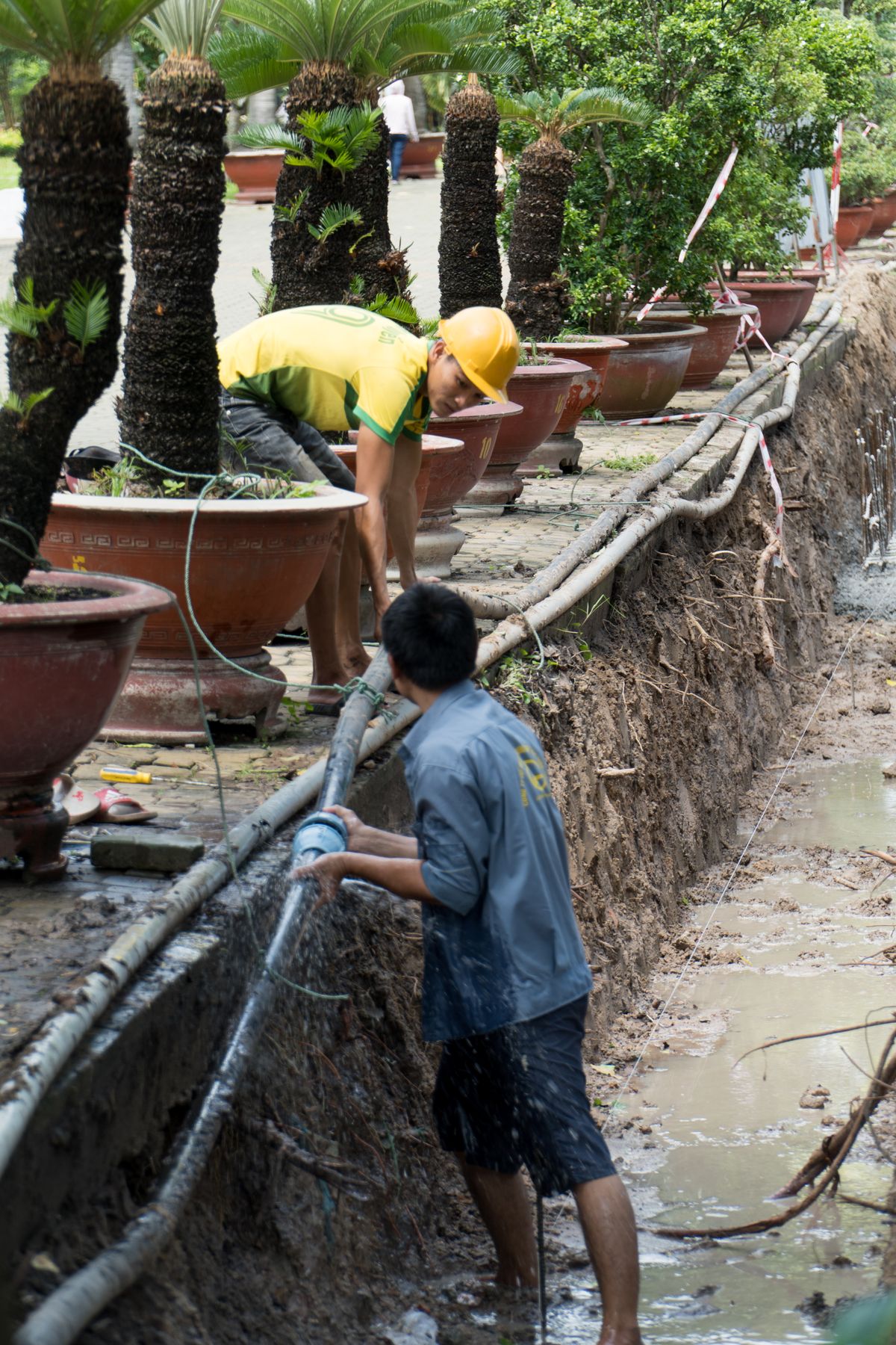 SpeeDee Drains and Plumbing — Fullerton — cover image
