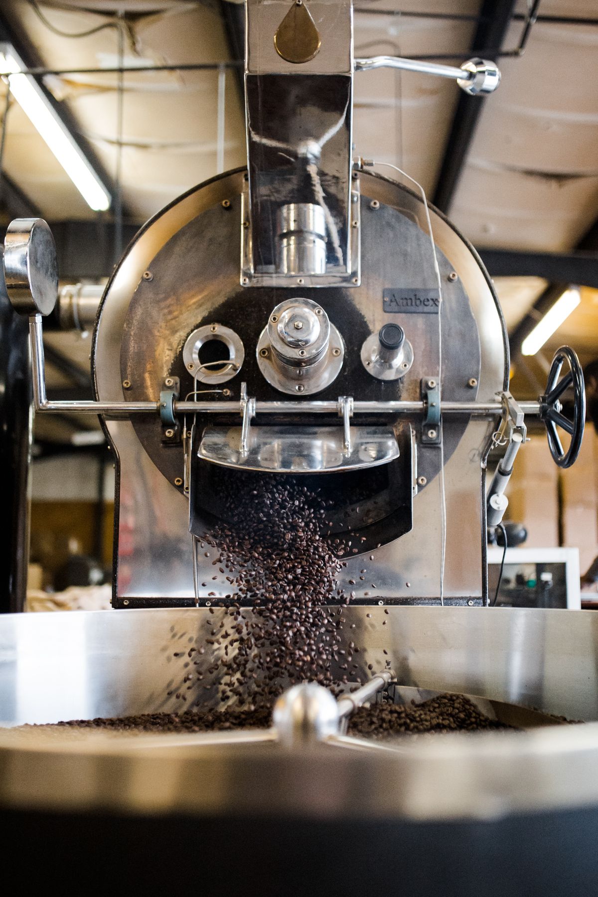 Original OCDIR directory artwork for The Lost Bean Organic Coffee Roasters — not a business photograph