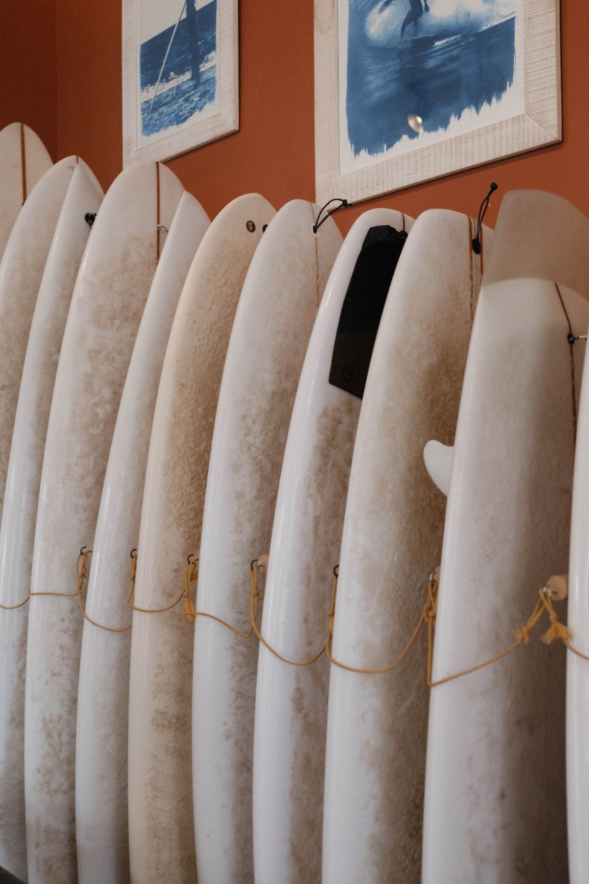 Original OCDIR directory artwork for Sunny Smith Boardshop — not a business photograph