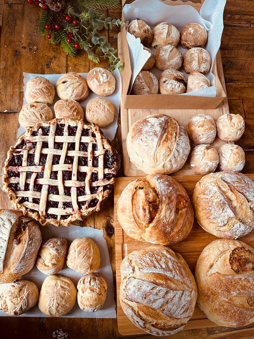 Daily Bread Co — San Clemente — cover image