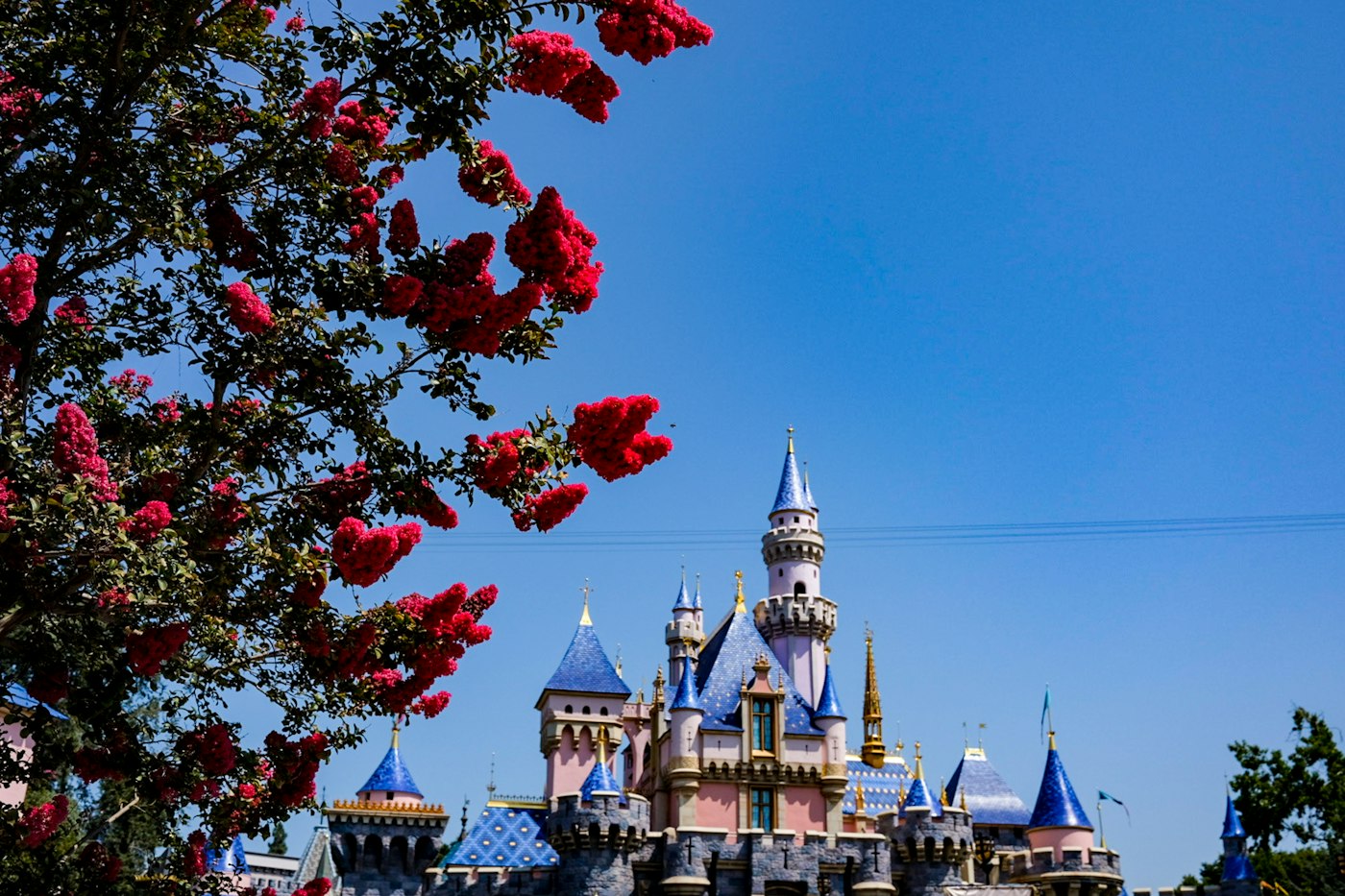 Original OCDIR directory artwork for Disneyland Resort — not a business photograph